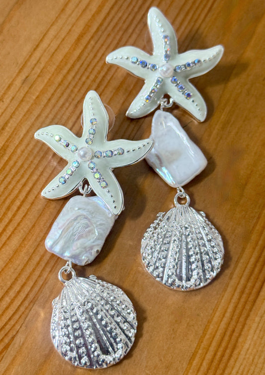 Star shell Earrings